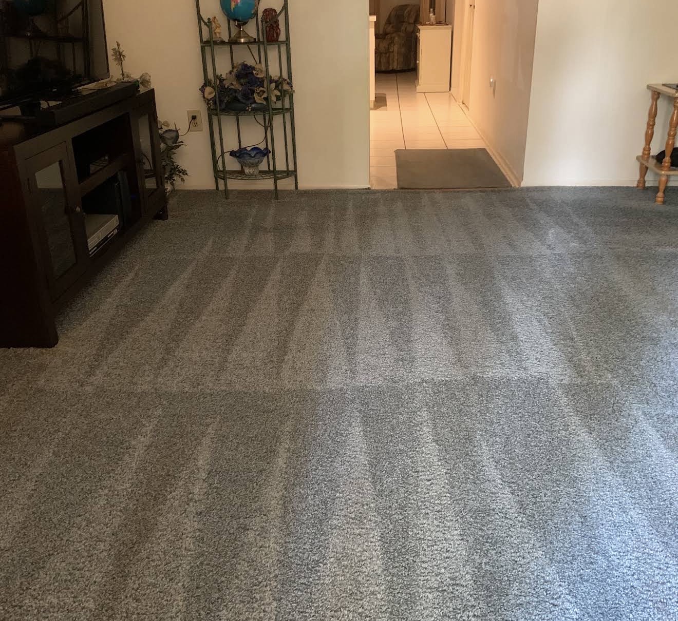 Freshly vacuumed carpet with even vacuum lines